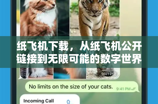 纸飞机下载，从纸飞机公开链接到无限可能的数字世界