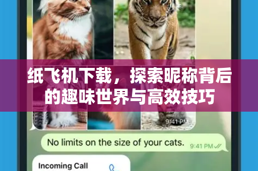 纸飞机下载，探索昵称背后的趣味世界与高效技巧