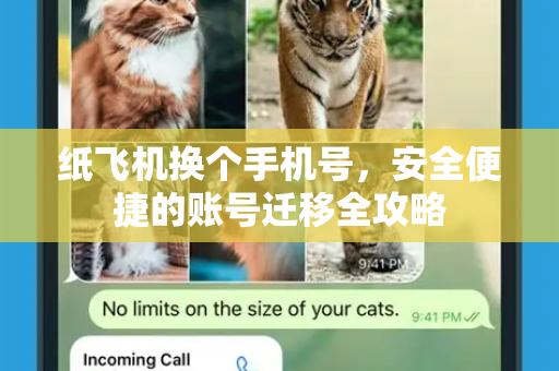 纸飞机换个手机号，安全便捷的账号迁移全攻略