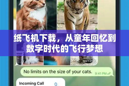 纸飞机下载，从童年回忆到数字时代的飞行梦想