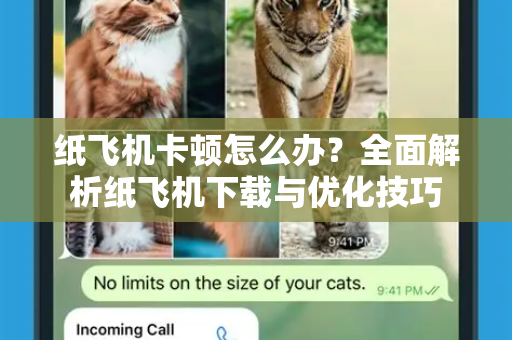 纸飞机卡顿怎么办？全面解析纸飞机下载与优化技巧