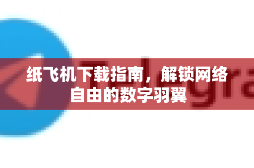 纸飞机下载指南，解锁网络自由的数字羽翼