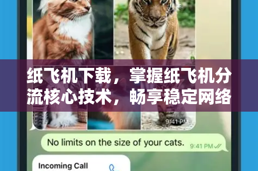 纸飞机下载，掌握纸飞机分流核心技术，畅享稳定网络连接