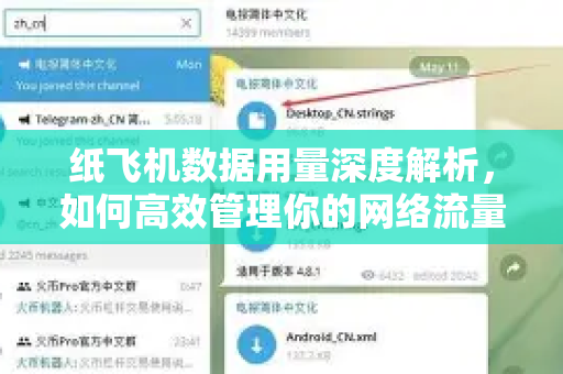 纸飞机数据用量深度解析，如何高效管理你的网络流量？