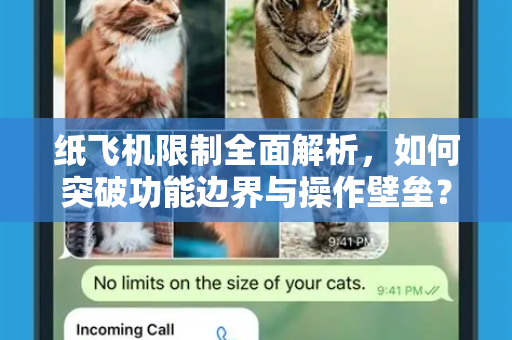 纸飞机限制全面解析，如何突破功能边界与操作壁垒？
