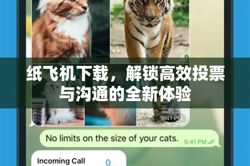 纸飞机下载，解锁高效投票与沟通的全新体验
