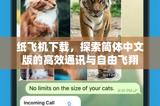 纸飞机下载，探索简体中文版的高效通讯与自由飞翔