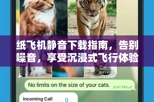 纸飞机静音下载指南，告别噪音，享受沉浸式飞行体验