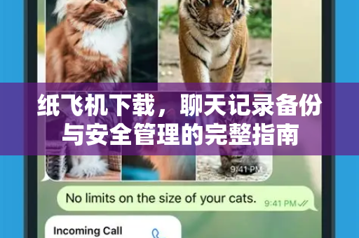 纸飞机下载，聊天记录备份与安全管理的完整指南