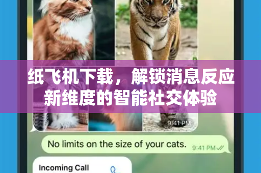 纸飞机下载，解锁消息反应新维度的智能社交体验