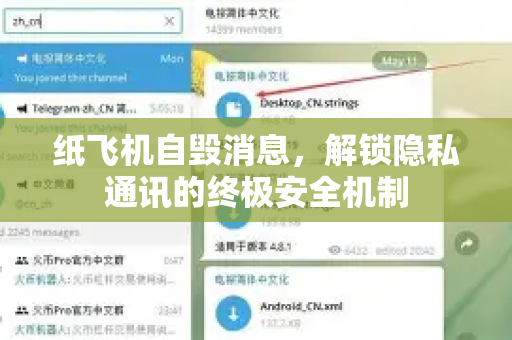 纸飞机自毁消息，解锁隐私通讯的终极安全机制
