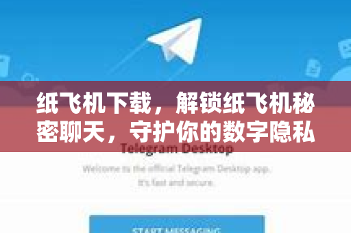 纸飞机下载，解锁纸飞机秘密聊天，守护你的数字隐私