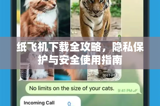纸飞机下载全攻略，隐私保护与安全使用指南