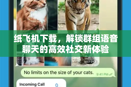 纸飞机下载，解锁群组语音聊天的高效社交新体验