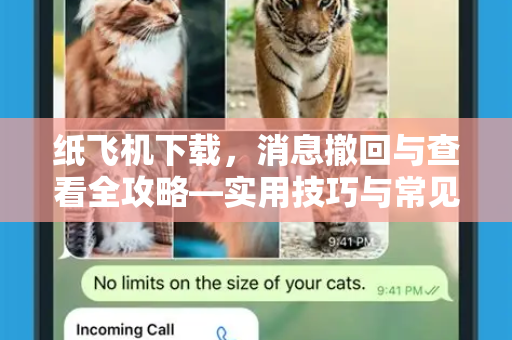 纸飞机下载,消息撤回与查看全攻略—实用技巧与常见问题解答-第1张图片-纸飞机下载官网 - 纸飞机PC桌面版 | 官方下载中心 纸飞机下载,消息撤回与查看全攻略—实用技巧与常见问题解答-第1张图片-纸飞机下载官网 - 纸飞机PC桌面版 | 官方下载中心