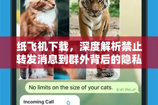 纸飞机下载,深度解析禁止转发消息到群外背后的隐私逻辑与操作指南-第1张图片-纸飞机下载官网 - 纸飞机PC桌面版 | 官方下载中心 纸飞机下载,深度解析禁止转发消息到群外背后的隐私逻辑与操作指南-第1张图片-纸飞机下载官网 - 纸飞机PC桌面版 | 官方下载中心