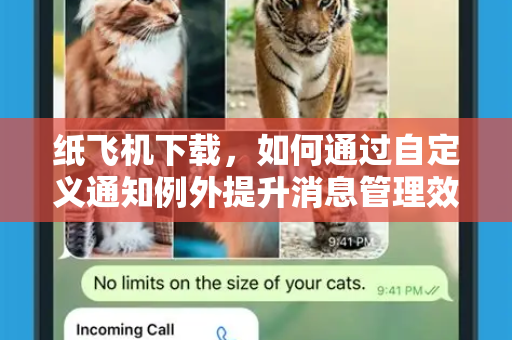 纸飞机下载,如何通过自定义通知例外提升消息管理效率-第1张图片-纸飞机下载官网 - 纸飞机PC桌面版 | 官方下载中心 纸飞机下载,如何通过自定义通知例外提升消息管理效率-第1张图片-纸飞机下载官网 - 纸飞机PC桌面版 | 官方下载中心