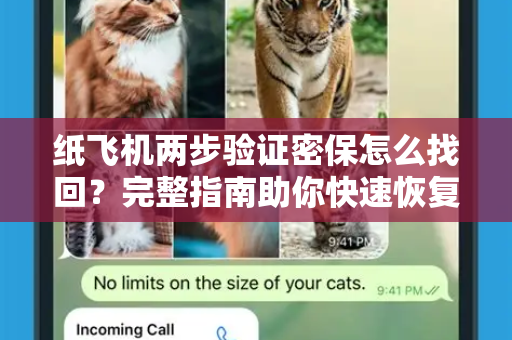 纸飞机两步验证密保怎么找回?完整指南助你快速恢复账号-第1张图片-纸飞机下载官网 - 纸飞机PC桌面版 | 官方下载中心 纸飞机两步验证密保怎么找回?完整指南助你快速恢复账号-第1张图片-纸飞机下载官网 - 纸飞机PC桌面版 | 官方下载中心
