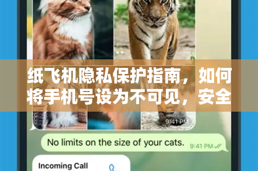 纸飞机隐私保护指南,如何将手机号设为不可见,安全畅聊无忧-第1张图片-纸飞机下载官网 - 纸飞机PC桌面版 | 官方下载中心 纸飞机隐私保护指南,如何将手机号设为不可见,安全畅聊无忧-第1张图片-纸飞机下载官网 - 纸飞机PC桌面版 | 官方下载中心