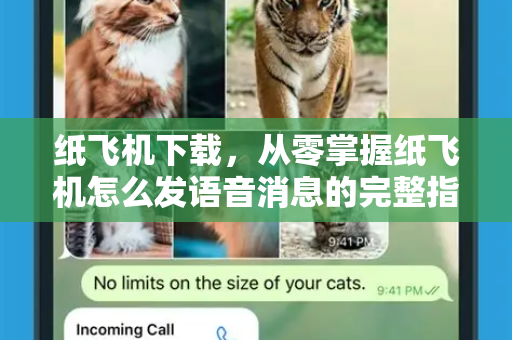 纸飞机下载,从零掌握纸飞机怎么发语音消息的完整指南-第1张图片-纸飞机下载官网 - 纸飞机PC桌面版 | 官方下载中心 纸飞机下载,从零掌握纸飞机怎么发语音消息的完整指南-第1张图片-纸飞机下载官网 - 纸飞机PC桌面版 | 官方下载中心