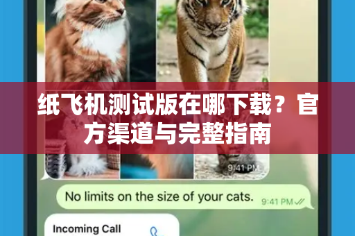纸飞机测试版在哪下载？官方渠道与完整指南-第1张图片-纸飞机下载官网 - 纸飞机PC桌面版 | 官方下载中心