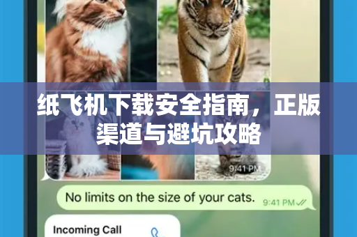 纸飞机下载安全指南,正版渠道与避坑攻略-第1张图片-纸飞机下载官网 - 纸飞机PC桌面版 | 官方下载中心 纸飞机下载安全指南,正版渠道与避坑攻略-第1张图片-纸飞机下载官网 - 纸飞机PC桌面版 | 官方下载中心
