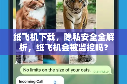 纸飞机下载,隐私安全全解析,纸飞机会被监控吗?-第1张图片-纸飞机下载官网 - 纸飞机PC桌面版 | 官方下载中心 纸飞机下载,隐私安全全解析,纸飞机会被监控吗?-第1张图片-纸飞机下载官网 - 纸飞机PC桌面版 | 官方下载中心