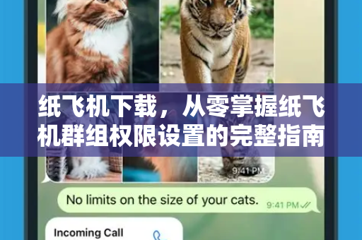 纸飞机下载，从零掌握纸飞机群组权限设置的完整指南-第1张图片-纸飞机下载官网 - 纸飞机PC桌面版 | 官方下载中心