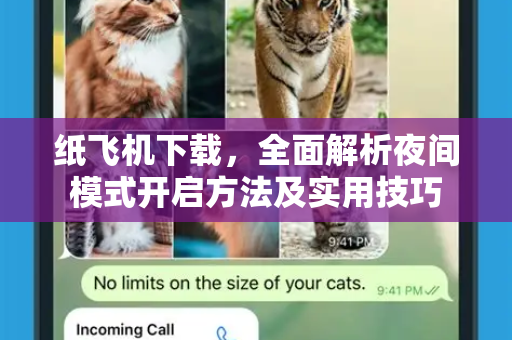 纸飞机下载,全面解析夜间模式开启方法及实用技巧-第1张图片-纸飞机下载官网 - 纸飞机PC桌面版 | 官方下载中心 纸飞机下载,全面解析夜间模式开启方法及实用技巧-第1张图片-纸飞机下载官网 - 纸飞机PC桌面版 | 官方下载中心