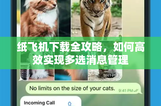纸飞机下载全攻略，如何高效实现多选消息管理-第1张图片-纸飞机下载官网 - 纸飞机PC桌面版 | 官方下载中心