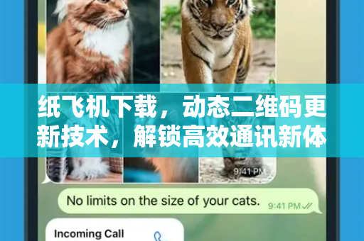 纸飞机下载，动态二维码更新技术，解锁高效通讯新体验