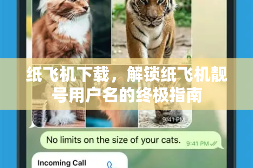 纸飞机下载,解锁纸飞机靓号用户名的终极指南-第1张图片-纸飞机下载官网 - 纸飞机PC桌面版 | 官方下载中心 纸飞机下载,解锁纸飞机靓号用户名的终极指南-第1张图片-纸飞机下载官网 - 纸飞机PC桌面版 | 官方下载中心