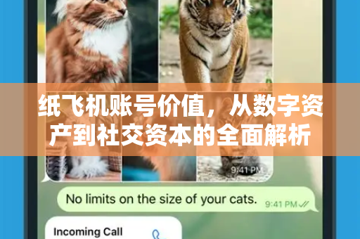 纸飞机账号价值,从数字资产到社交资本的全面解析-第1张图片-纸飞机下载官网 - 纸飞机PC桌面版 | 官方下载中心 纸飞机账号价值,从数字资产到社交资本的全面解析-第1张图片-纸飞机下载官网 - 纸飞机PC桌面版 | 官方下载中心