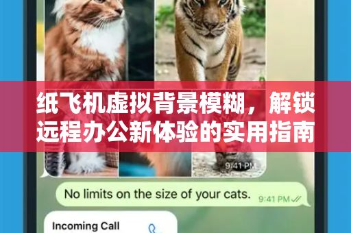 纸飞机虚拟背景模糊,解锁远程办公新体验的实用指南-第1张图片-纸飞机下载官网 - 纸飞机PC桌面版 | 官方下载中心 纸飞机虚拟背景模糊,解锁远程办公新体验的实用指南-第1张图片-纸飞机下载官网 - 纸飞机PC桌面版 | 官方下载中心