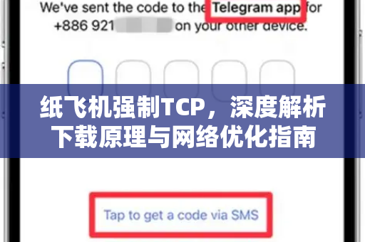纸飞机强制TCP，深度解析下载原理与网络优化指南