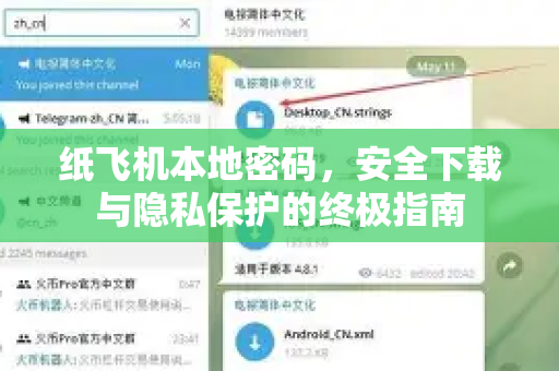 纸飞机本地密码，安全下载与隐私保护的终极指南