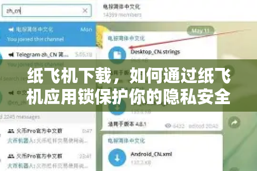 纸飞机下载，如何通过纸飞机应用锁保护你的隐私安全？