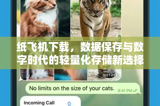 纸飞机下载，数据保存与数字时代的轻量化存储新选择