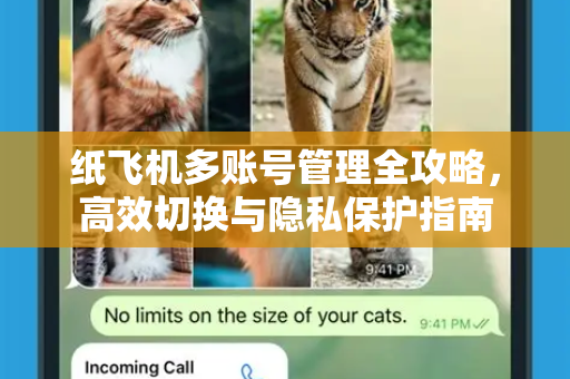 纸飞机多账号管理全攻略，高效切换与隐私保护指南