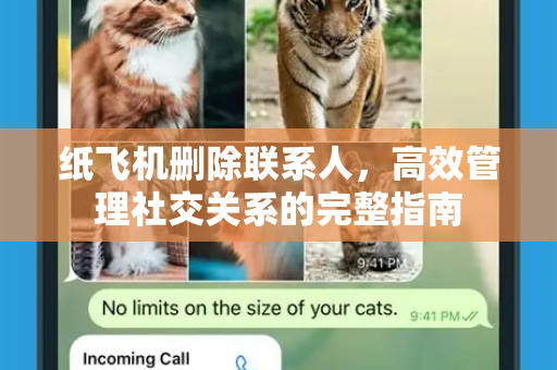 纸飞机删除联系人，高效管理社交关系的完整指南