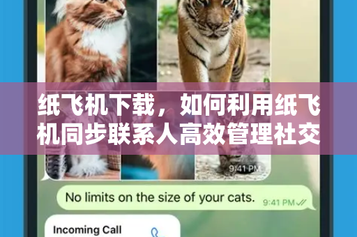 纸飞机下载，如何利用纸飞机同步联系人高效管理社交网络